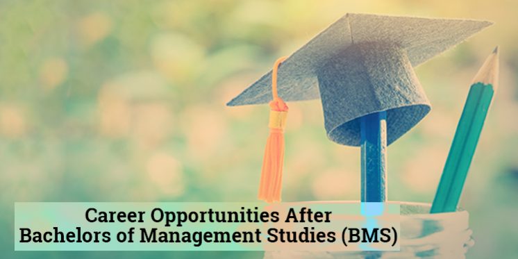 Career Opportunities After BMS