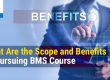 Scope and Benefits of BMS Degree